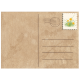 6 Paintable Postcards
