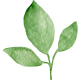 Clean & Sustainable
